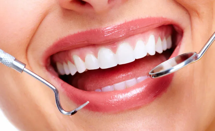 Dental model showing orthodontic education